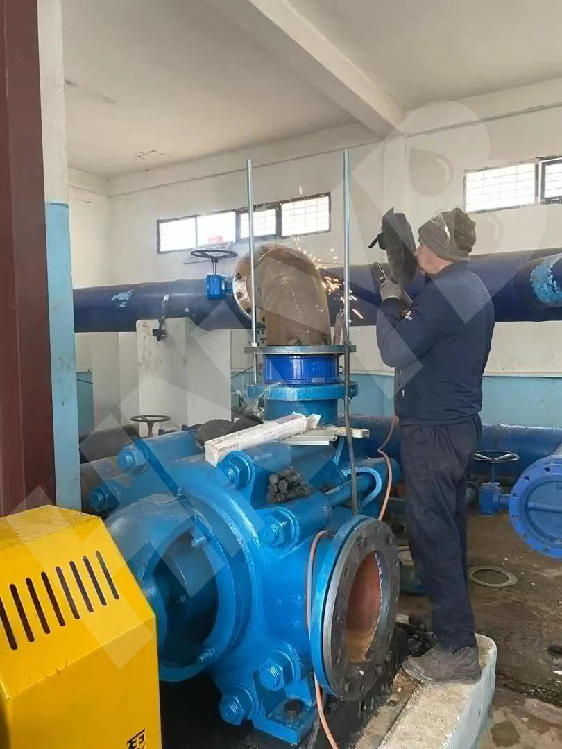 85e5c6e24e32a7c8cc045d18fac411